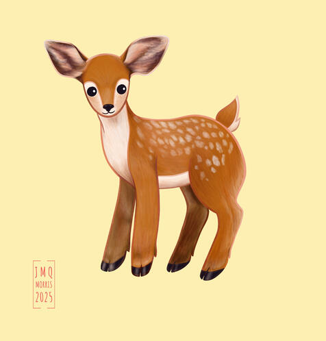 Deer